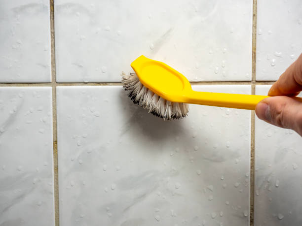 Best Mold Removal Company Near Me  in Louisville, CO