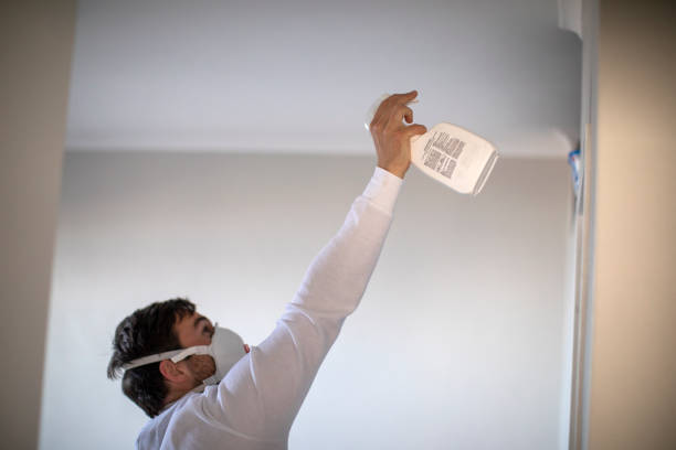 Best Toxic Mold Removal  in Louisville, CO