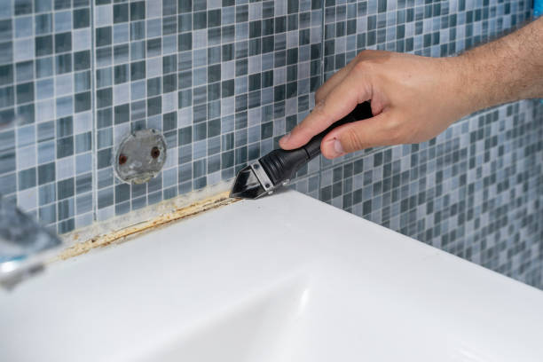Best Mold Testing  in Louisville, CO